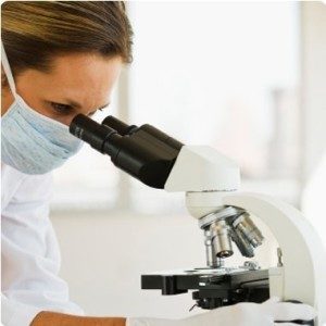 Scientist viewing object though a light microscope