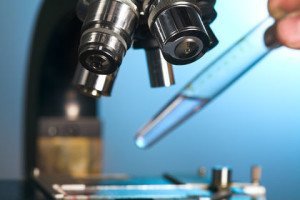 Setting up microscope slide