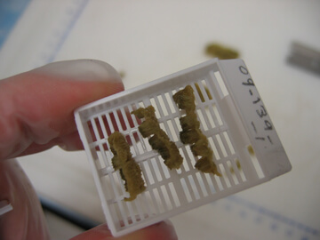 Laboratory Sample Cassette