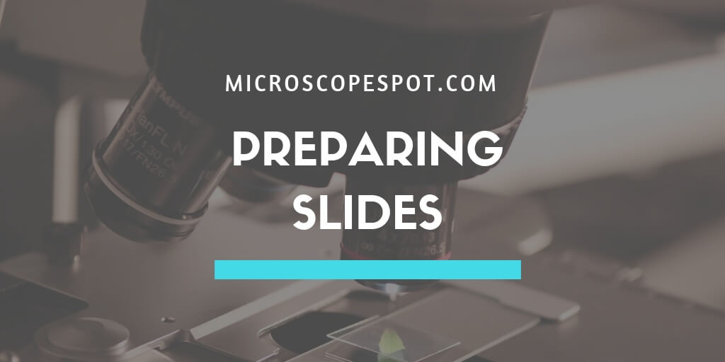 How To Prepare Microscope Slides MicroscopeSpot