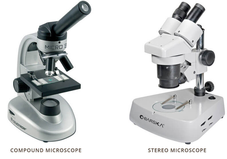 Images of Stereo Microscope and Compound Microscope