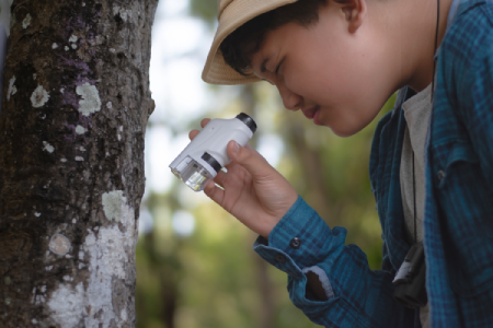 Pocket Microscopes - MicroscopeSpot - MicroscopeSpot