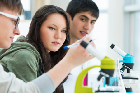 STEM Activities - MicroscopeSpot - MicroscopeSpot